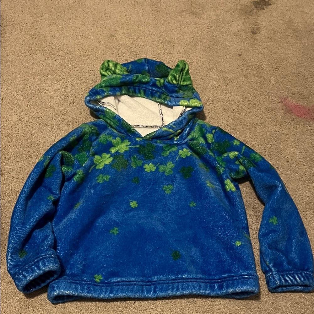 Blue and Green Kids Hoodie